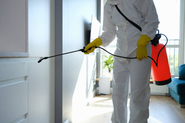 Tower City, PA Mold Removal Company