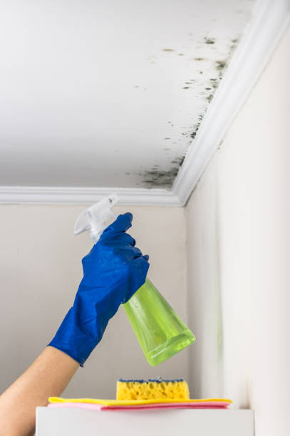 Best Crawl Space Mold Removal  in Tower City, PA